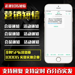 全方位解析106短信服务 从网站到定制接口的多元化应用方案